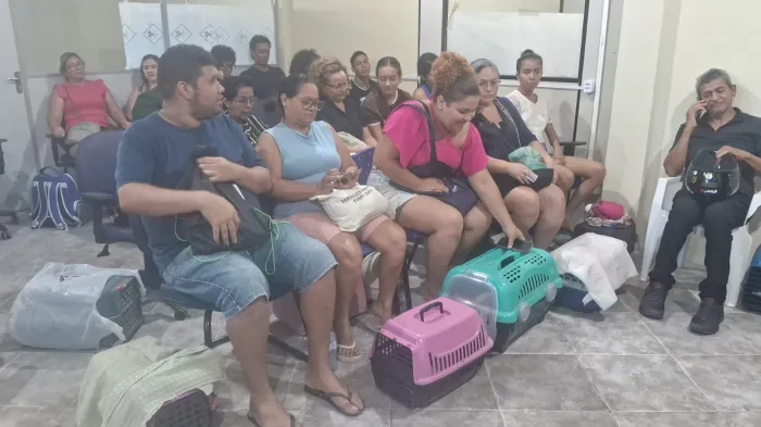 Castração gratuita promove a saúde animal e é arma contra o abandono