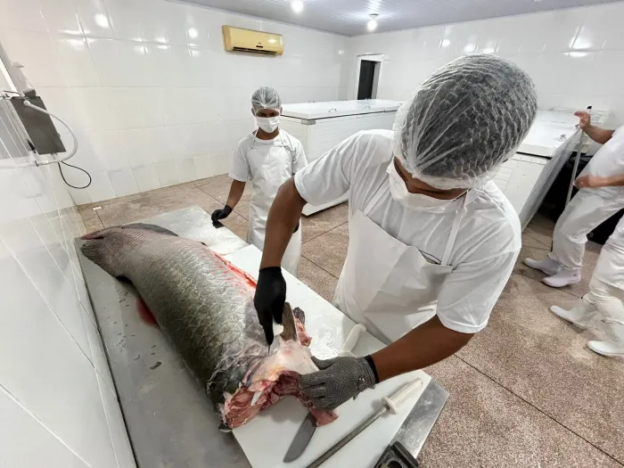 Porto Velho conta com três agroindústrias de pescado certificadas pelo SIM