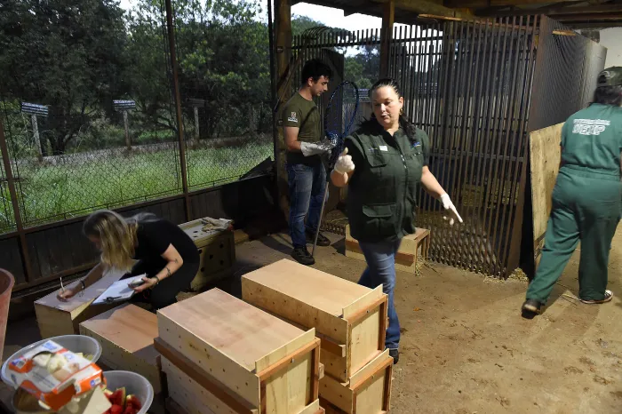 Foto: Reprodução/Secom Paraná