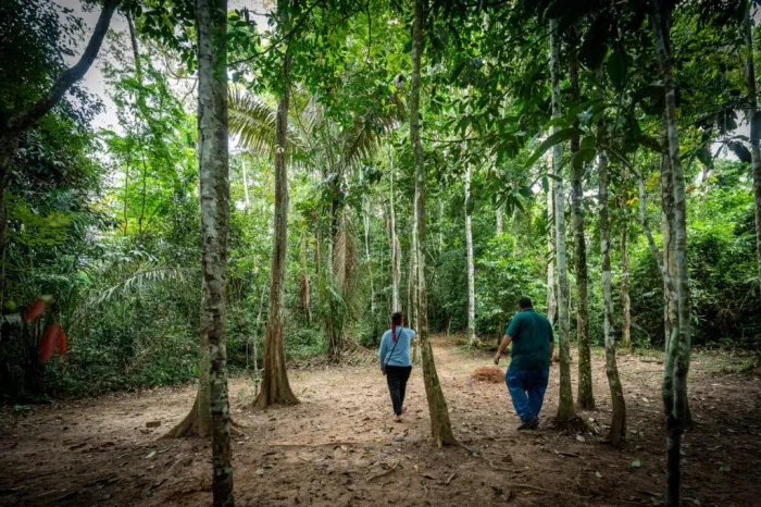Foto: Reprodução/Secom Acre