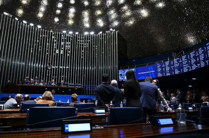 Em votação simbólica, pedido para a homenagem foi aprovado pelo Plenário - Foto: Ton Molina/Agência Senado
