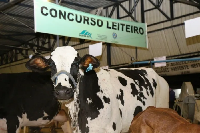 Concurso evidencia avanços da pecuária leiteira impulsionados pela assistência técnica em todo o estado