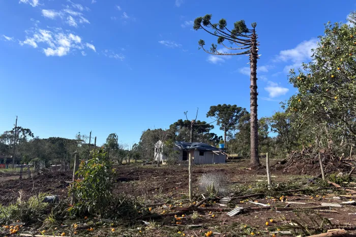 Foto: Reprodução/Secom Paraná