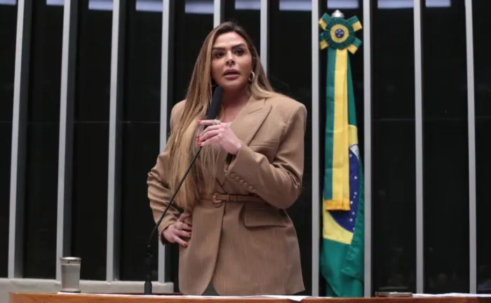 Comissão aprova projeto que cria aplicativo para mulher com deficiência denunciar violência