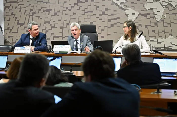 Jaime Bagattoli presidiu a audiência pública da Comissão de Agricultura - Foto: Ton Molina/Agência Senado