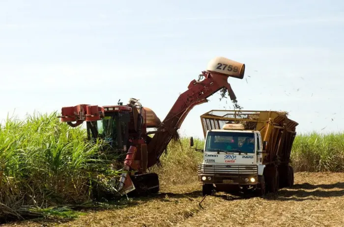 Medida busca compensar produtores prejudicados por políticas do EUA ou por questões climáticas - Foto: Eugênio Sávio / Imprensa MG
