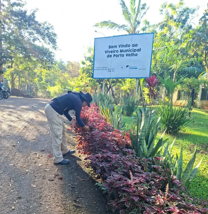 Foto: Reprodução/Prefeitura de Porto Velho - RO