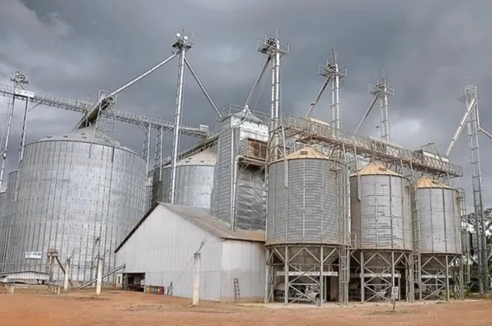 Senado vai analisar MP que destina R$ 15 bilhões a exportadores e agroindústria