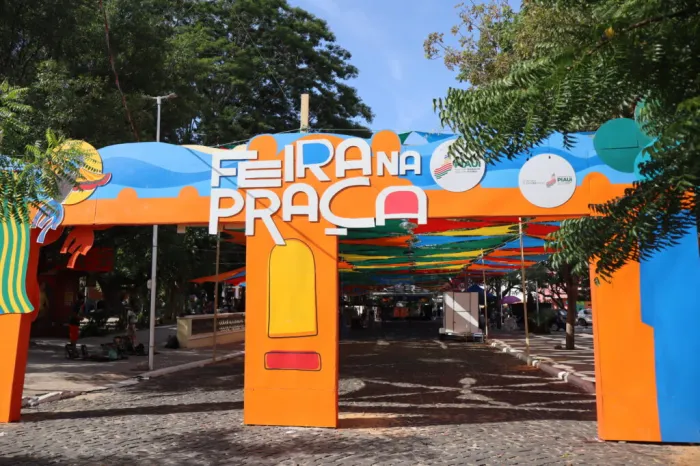 Foto: Reprodução/Secom Piauí