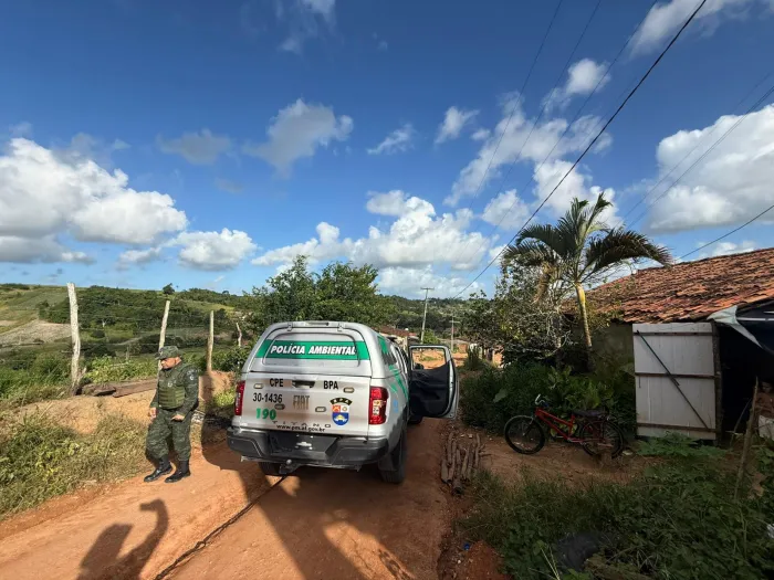 As equipes atuaram em diversos municípios alagoanos - Ascom PM-AL