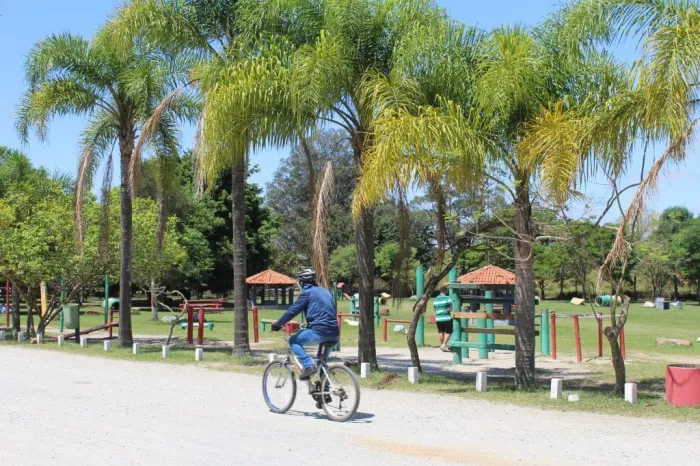 Parques estaduais de SP viram palco de trilhas, oficinas e brincadeiras nas férias de julho