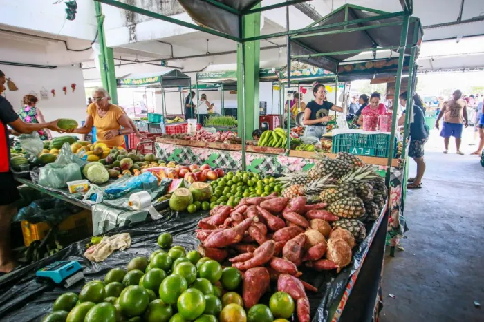 Cecaf registra aumento médio de 35% no volume comercializado no primeiro semestre de 2026