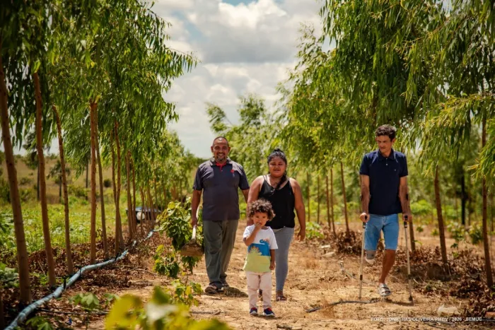 Foto: Reprodução/Prefeitura de Boa Vista - RR