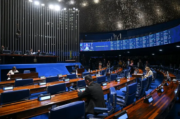 Plenário confirmou parecer da Comissão de Assuntos Econômicos, pela autorização dos empréstimos - Foto: Ton Molina/Agência Senado