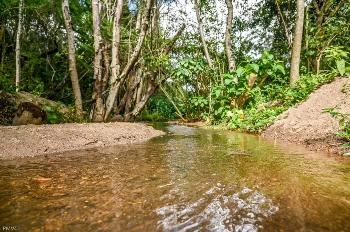 Revitalizada, Reserva Florestal do Poço Escuro fortalece preservação ambiental e melhora experiências de visitantes