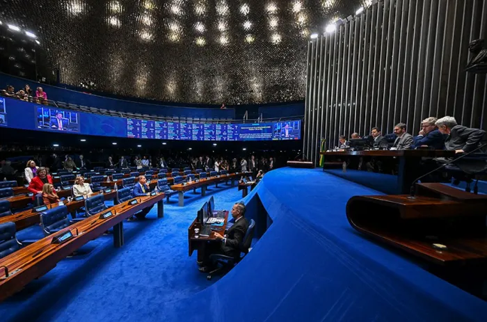 O Plenário durante a sessão que aprovou a homenagem aos médicos - Foto: Ton Molina/Agência Senado