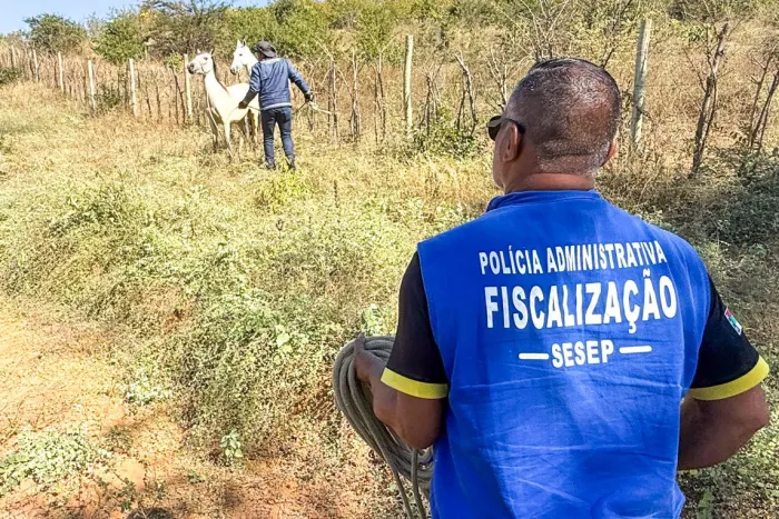 Foto: Reprodução/Prefeitura de Vitória da Conquista - BA
