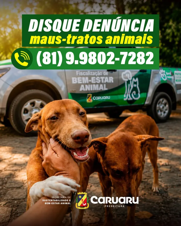 Prefeitura de Caruaru lança Disque-Denúncia para fortalecer o combate aos maus-tratos a animais