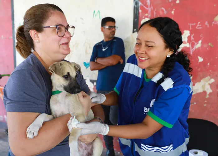Mais de 40 cães do Abrigo Warao passam por exames para castração