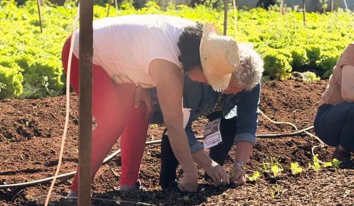 Foto: Reprodução/Prefeitura de Campo Grande - MS