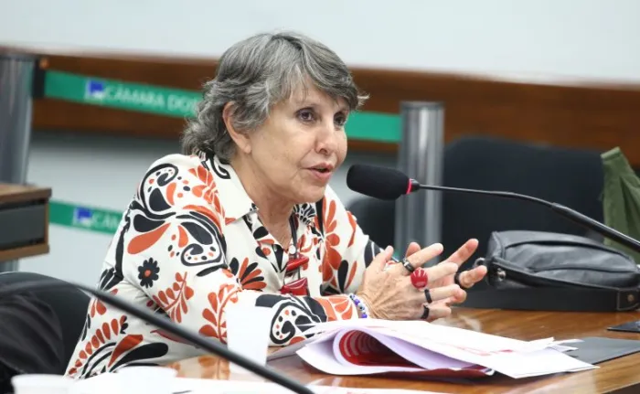 Vinicius Loures/Câmara dos Deputados