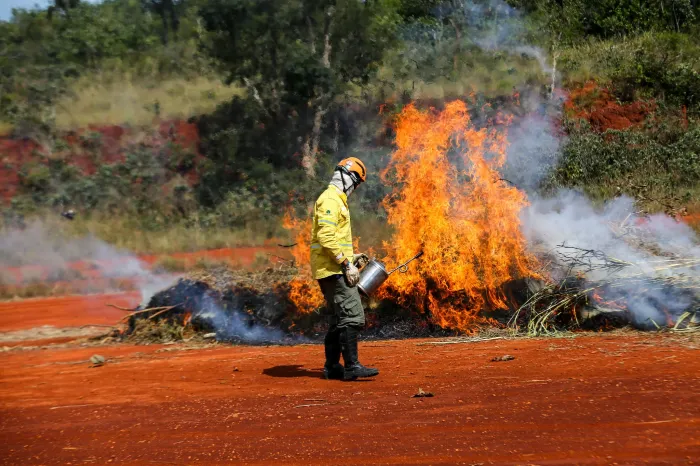 Ação humana é a principal causa de incêndios; confira dicas da Defesa Civil