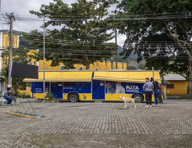 Foto: Reprodução/Prefeitura de São Sebastião - SP