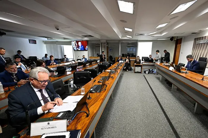 Hermes Klann na reunião em que fez a leitura do parecer - Foto: Carlos Moura/Agência Senado