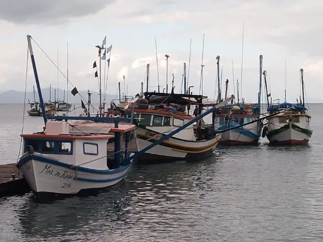 Embarcações passam por vistoria do Ministério da Pesca e Aquicultura em São Sebastião