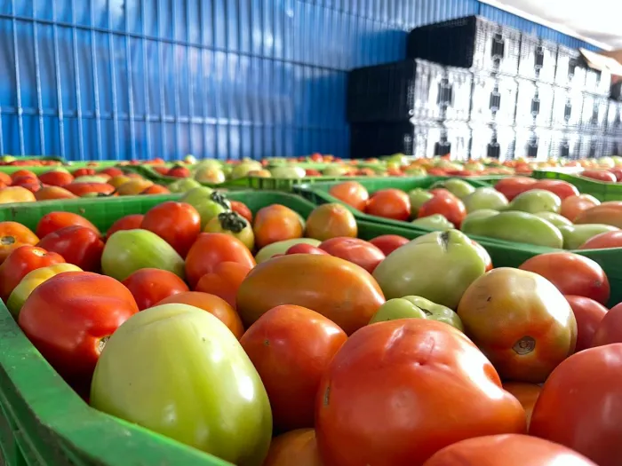 Ceaca registra queda nos preços de 13 produtos e amplia oportunidades de economia para consumidores