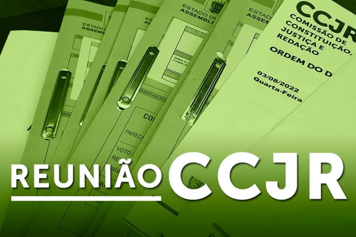 CCJR emite seis pareceres favoráveis e apresenta balanço do semestre