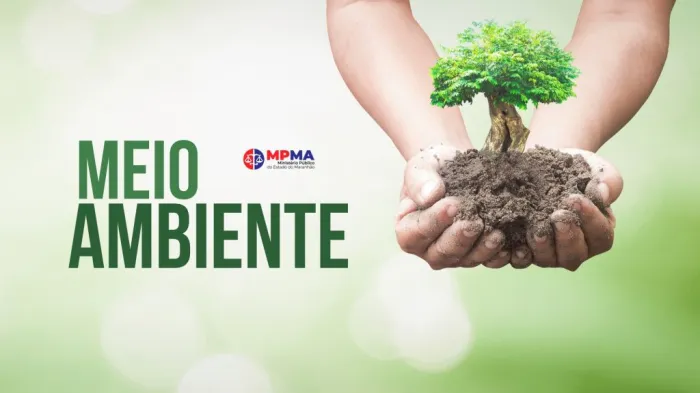 Foto: Reprodução/MPMA