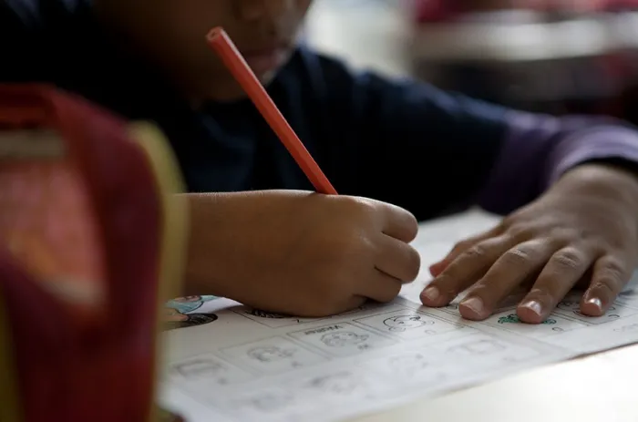 Novo Plano Nacional de Educação define as diretrizes que vão orientar as políticas educacionais do país até 2036 - Foto: Camila Domingues/Palácio Piratini