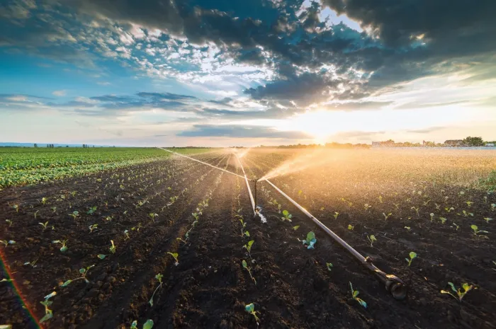 Com fomento do SP Produz, CPL de Guaíra expande atuação e se fortalece como polo de irrigação no Estado. Foto: Governo de SP