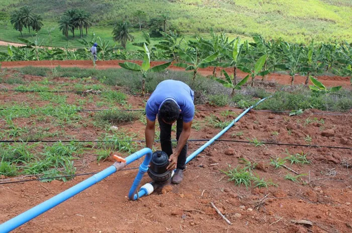 Parte dos recursos deve ir para políticas de irrigação social no Nordeste - Foto: Codevasf