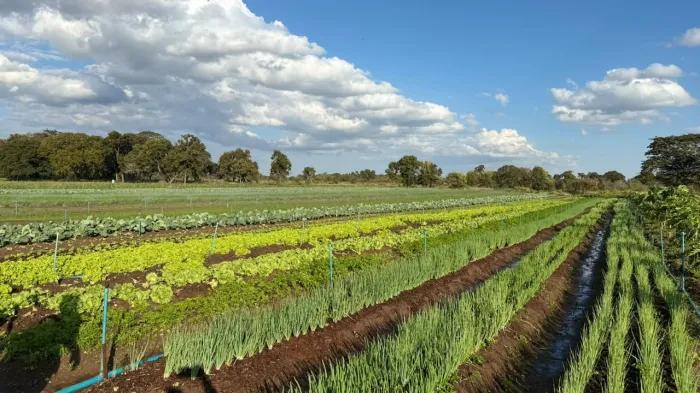 FAC define ações para fortalecer a CoopUrb e ampliar agricultura urbana