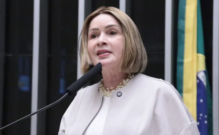 Thiago Cristino / Câmara dos Deputados