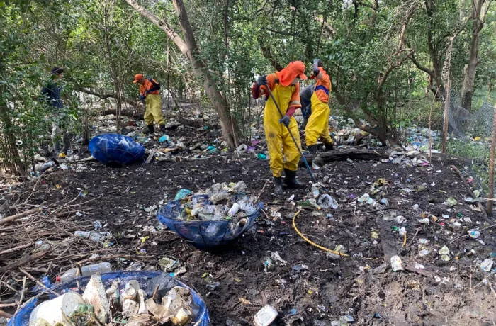 Comlurb promove limpeza de mangues na Península do Caju em comemoração ao Dia Mundial dos Manguezais