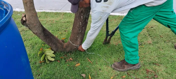 Foto: Reprodução/Prefeitura de João Pessoa - PB