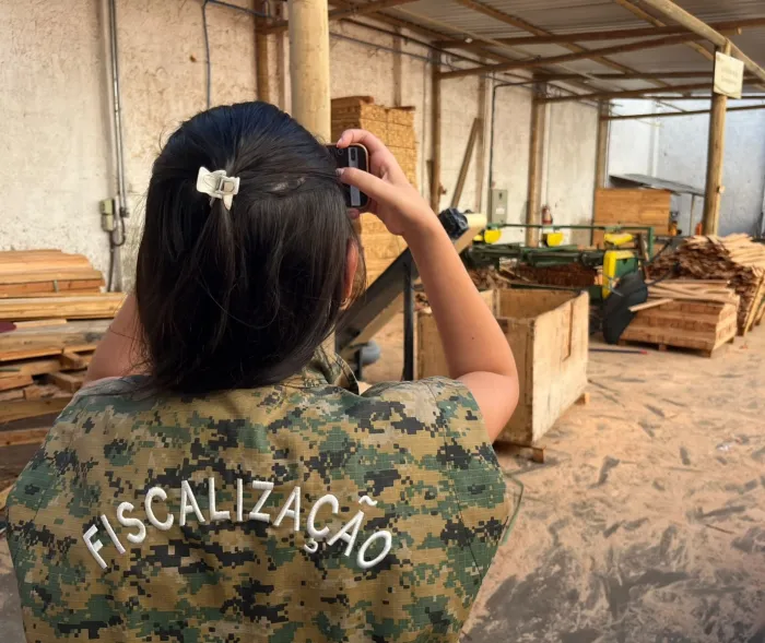 Foto: Reprodução/Prefeitura de Petrolina - PE