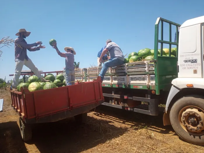 Esse protagonismo será apresentado durante a 2ª Agrotec 2026