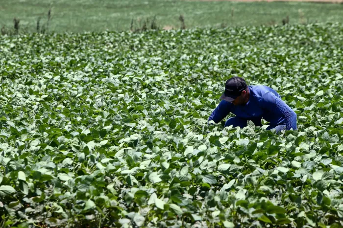 Setor de agropecuária concentra as vagas em Barretos nesta segunda-feira (27)