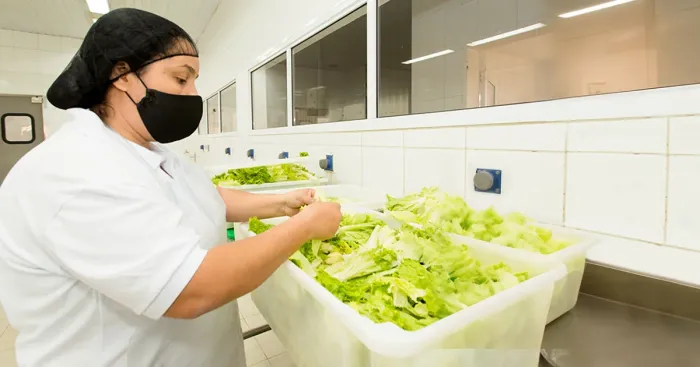 A plataforma Trampolim reúne vagas de emprego e cursos de qualificação, e o candidato pode aplicar filtros para vagas de acordo com a área e com a localização de sua preferência