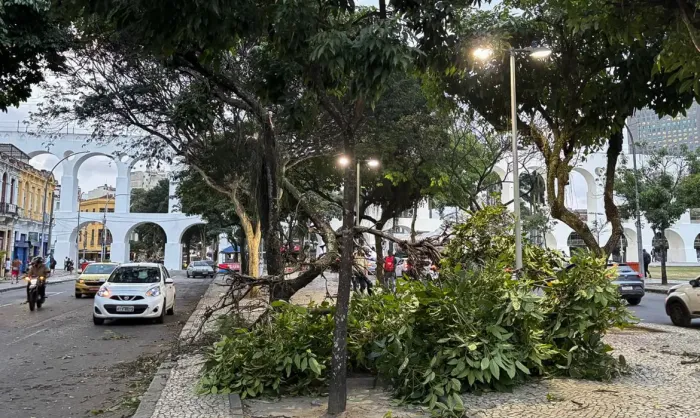 © Tânia Rêgo/Agência Brasil