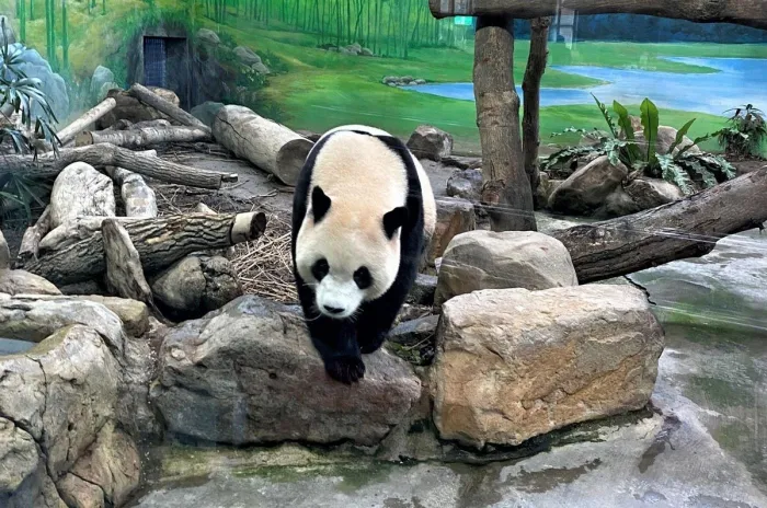 Tourism Taiwan