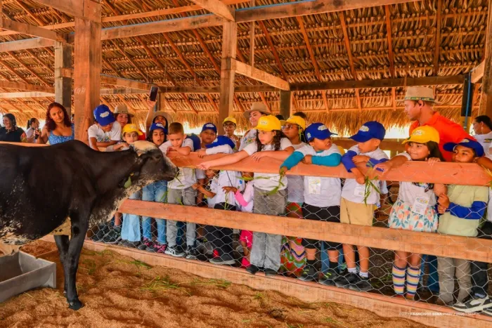 Foto: Reprodução/Prefeitura de Boa Vista - RR