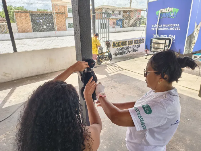 Belém Animal em Mosqueiro soma 666 atendimentos e 1.615 vacinas