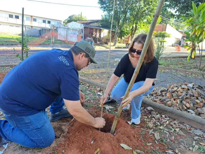 Foto: Reprodução/Prefeitura de Araçatuba - SP