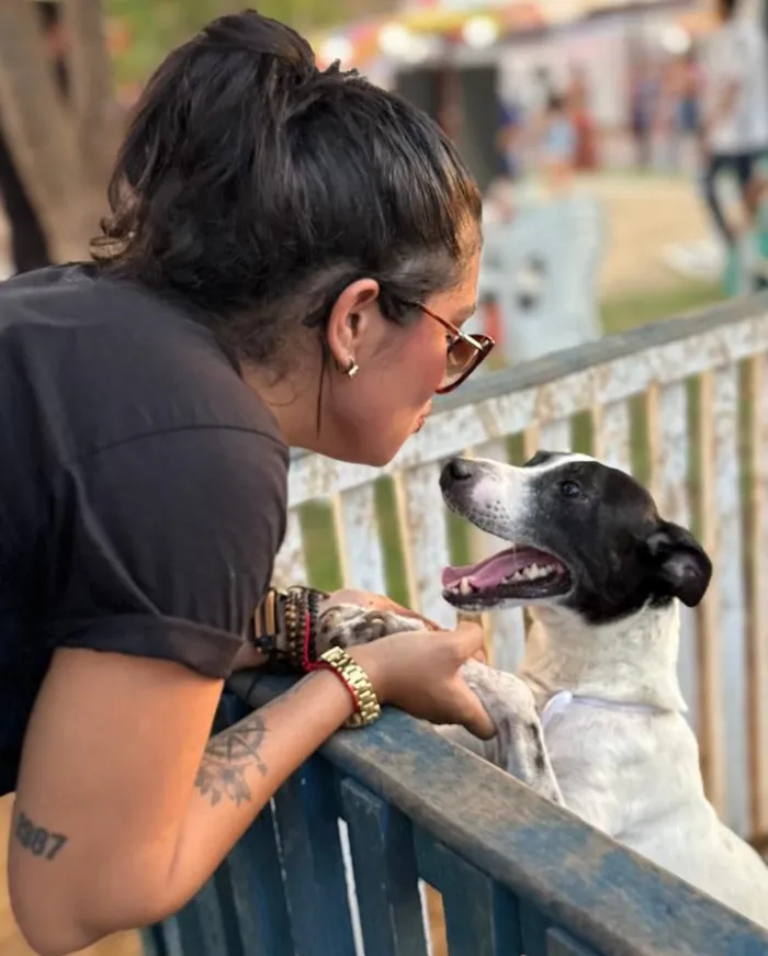 Cada pet carrega uma história de superação e espera apenas uma oportunidade para recomeçar