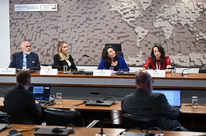 Especialistas e representantes do governo fizeram essa avaliação durante audiência pública promovida pelo Conselho de Comunicação Social do Congresso Nacional - Foto: Edilson Rodrigues/Agência Senado